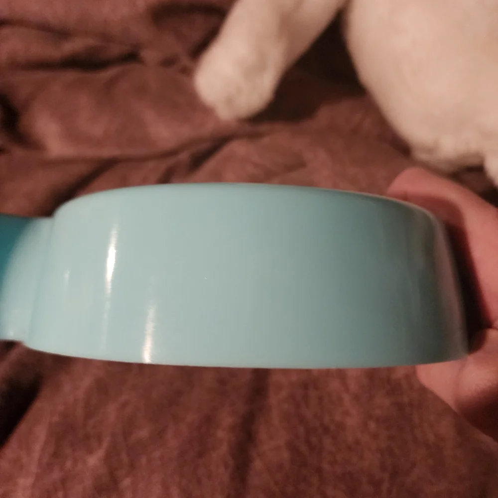 Light Blue Double Pet Bowl